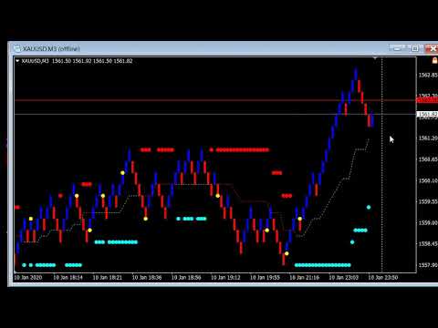 dynamic trader review